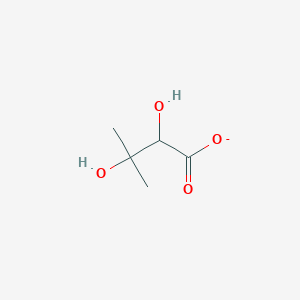 molecular formula C5H9O4- B1258931 2,3-二羟基-3-甲基丁酸 