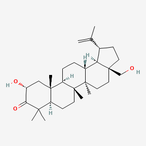 molecular formula C30H48O3 B1258975 (1R,3aS,5aR,5bR,7aR,10R,11aR,11bR,13aR,13bR)-10-hydroxy-3a-(hydroxymethyl)-5a,5b,8,8,11a-pentamethyl-1-prop-1-en-2-yl-2,3,4,5,6,7,7a,10,11,11b,12,13,13a,13b-tetradecahydro-1H-cyclopenta[a]chrysen-9-one 