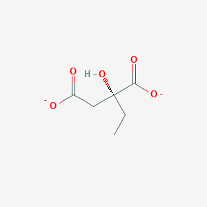 molecular formula C6H8O5-2 B1259049 (R)-2-乙基丙二酸 