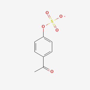 molecular formula C8H7O5S- B1259081 p-Acetylphenol sulfate 