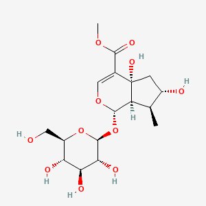 molecular formula C17H26O11 B1259104 甲基（1S、4aR、6S、7S、7aR）-4a、6-二羟基-7-甲基-1-[(2S、3R、4S、5S、6R）-3、4、5-三羟基-6-（羟甲基）氧杂环-2-基]氧基-5、6、7、7a-四氢-1H-环戊并[c]吡喃-4-羧酸酯 