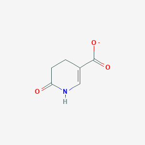 molecular formula C6H6NO3- B1259190 1,4,5,6-Tetrahydro-6-oxonicotinate 