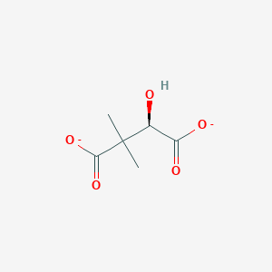 molecular formula C6H8O5-2 B1259192 (R)-3,3-Dimethylmalate 