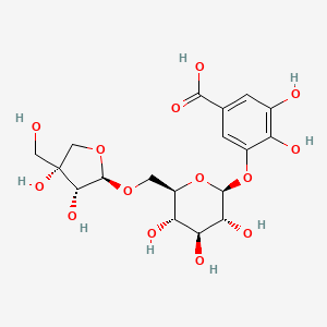 molecular formula C18H24O14 B1259244 Mudanoside B CAS No. 203511-37-9