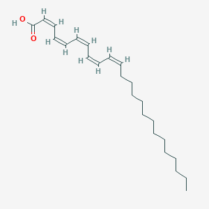 molecular formula C24H38O2 B1259249 (2Z,4Z,6Z,8Z,10Z)-tetracosa-2,4,6,8,10-pentaenoic acid CAS No. 81276-12-2