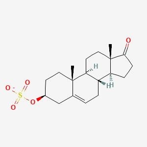 [3H]dehydroepiandrosterone sulfate