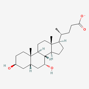 molecular formula C24H39O4- B1259271 3β,7α-二羟基-5β-胆烷-24-酸酯 