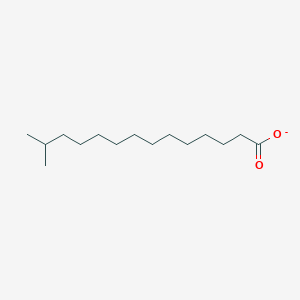 molecular formula C15H29O2- B1259418 13-甲基十四酸 