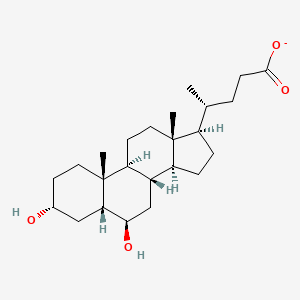 molecular formula C24H39O4- B1259440 鼠脱氧胆酸 