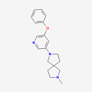 molecular formula C19H23N3O B12594437 2,7-Diazaspiro[4.4]nonane, 2-methyl-7-(5-phenoxy-3-pyridinyl)- CAS No. 646056-61-3