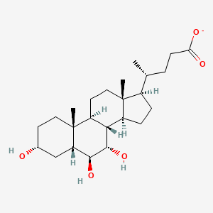 molecular formula C24H39O5- B1259453 alpha-Muricholate 