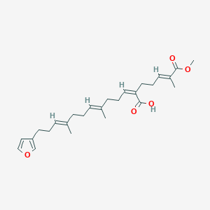 molecular formula C26H36O5 B1259465 Furospongin-4 
