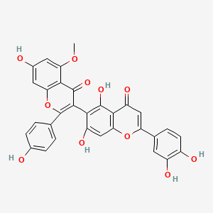 molecular formula C31H20O11 B1259478 Ridiculuflavone B 
