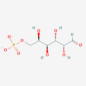 aldehydo-D-galactose 6-phosphate