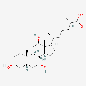 molecular formula C27H45O5- B1259521 3α,7α,12α-三羟基-5β-胆甾烷酸 