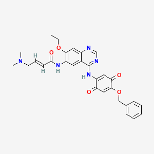 molecular formula C29H29N5O5 B12595232 2-Butenamide,4-(dimethylamino)-N-[4-[[3,6-dioxo-4-(phenylmethoxy)-1,4-cyclohexadien-1-yl]amino]-7-ethoxy-6-quinazolinyl]-,(2E)- 