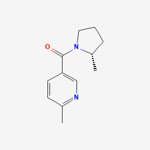 molecular formula C12H16N2O B12596436 (6-Methylpyridin-3-yl)[(2S)-2-methylpyrrolidin-1-yl]methanone CAS No. 613660-83-6