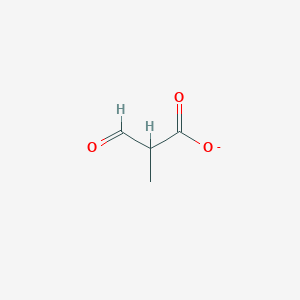 molecular formula C4H5O3- B1259668 2-Methyl-3-oxopropanoate 