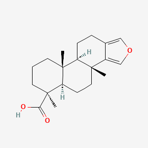 molecular formula C20H28O3 B1259741 Spongia-13(16),14-dien-19-oic acid 