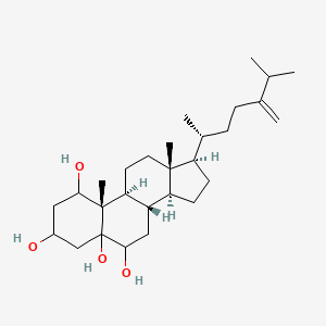molecular formula C28H48O4 B1259751 (8S,9S,10S,13R,14S,17R)-10,13-dimethyl-17-[(2R)-6-methyl-5-methylideneheptan-2-yl]-1,2,3,4,6,7,8,9,11,12,14,15,16,17-tetradecahydrocyclopenta[a]phenanthrene-1,3,5,6-tetrol 