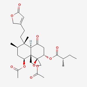 molecular formula C29H40O10 B1259752 Ajugareptansone A 