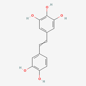 molecular formula C14H12O5 B12597569 5-[2-(3,4-Dihydroxyphenyl)ethenyl]benzene-1,2,3-triol CAS No. 637776-81-9