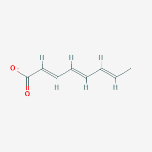 molecular formula C8H9O2- B1259778 Octa-2,4,6-trienoic acid 