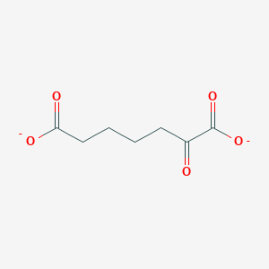 molecular formula C7H8O5-2 B1259798 alpha-Ketopimelate 