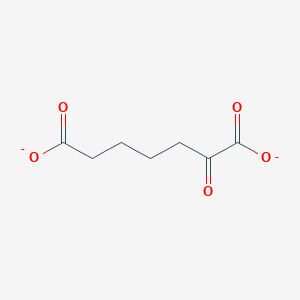 molecular formula C7H8O5-2 B1259798 α-酮戊二酸 