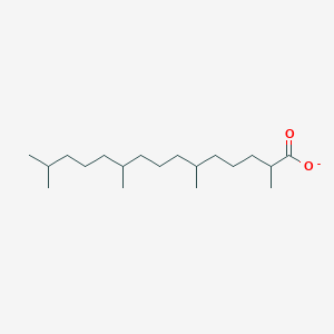 molecular formula C19H37O2- B1259802 普利斯坦酸盐 