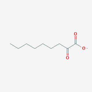 molecular formula C9H15O3- B1259811 2-氧代壬酸 