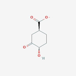 molecular formula C7H9O4- B1259824 (1S,4S)-4-Hydroxy-3-oxocyclohexane-1-carboxylate 