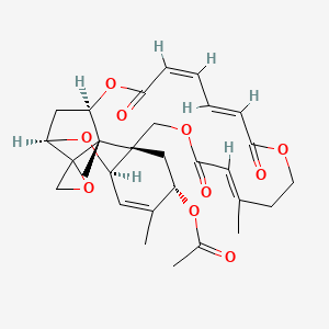 molecular formula C29H34O10 B1259834 Verrucarin L acetate 