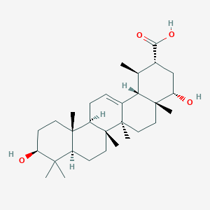 molecular formula C30H48O4 B1259856 Triptotriterpenic acid C 