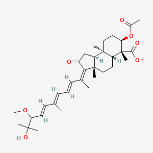 molecular formula C33H47O7- B1259878 球星状酸 C(1-) 
