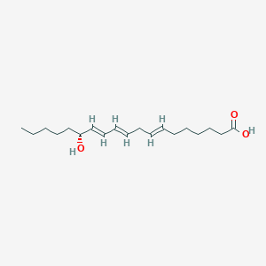 molecular formula C19H32O3 B1259886 (7E,10E,12E,14R)-14-hydroxynonadeca-7,10,12-trienoic acid 