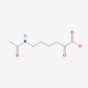 6-Acetamido-2-oxohexanoate