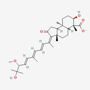 molecular formula C31H45O6- B1259934 globostellatate D(1-) 