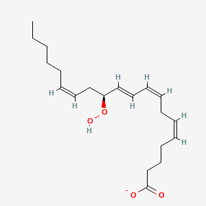 molecular formula C20H31O4- B1259951 (5Z,8Z,10E,12S,14Z)-12-hydroperoxyicosa-5,8,10,14-tetraenoate 