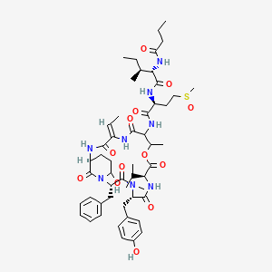 molecular formula C52H74N8O13S B1259964 Symplostatin 2 