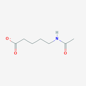 molecular formula C7H12NO3- B1259973 5-乙酰氨基戊酸 