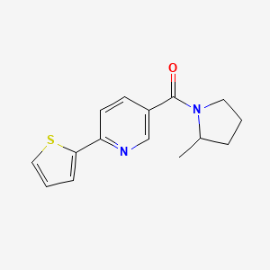 molecular formula C15H16N2OS B12600255 Pyrrolidine, 2-methyl-1-[[6-(2-thienyl)-3-pyridinyl]carbonyl]- CAS No. 613661-08-8