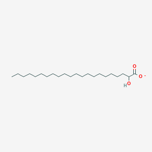 molecular formula C22H43O3- B1260065 2-Hydroxybehenate 