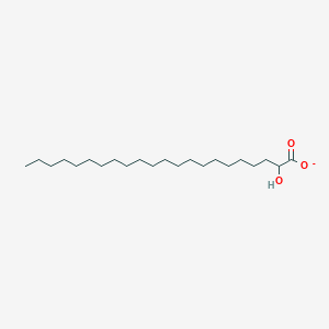 2-Hydroxybehenate