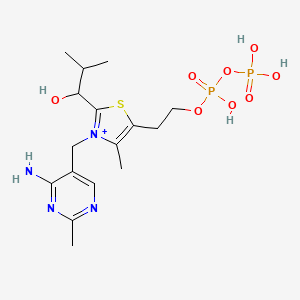 molecular formula C16H27N4O8P2S+ B1260103 2-Methyl-1-hydroxypropyl-ThPP 