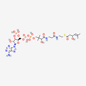 molecular formula C28H46N7O18P3S B1260106 S-[2-[3-[[4-[[[(2R,3S,4R,5R)-5-(6-aminopurin-9-yl)-4-hydroxy-3-phosphonooxyoxolan-2-yl]methoxy-hydroxyphosphoryl]oxy-hydroxyphosphoryl]oxy-2-hydroxy-3,3-dimethylbutanoyl]amino]propanoylamino]ethyl] 3-hydroxy-5-methylhex-4-enethioate 