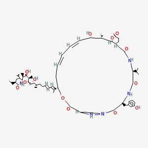 molecular formula C61H93N5O13 B1260165 (3S,6S,9R,12S,14R,15S,16S,17Z,19Z,22S,25R)-22-[(2E,4E,8S,9S)-10-[(2S,3R,4S,5S,6R,9S,11S)-9-ethyl-4-hydroxy-3,5,11-trimethyl-8-oxo-1-oxa-7-azaspiro[5.5]undecan-2-yl]-9-hydroxy-8-methyldeca-2,4-dien-2-yl]-16-hydroxy-3-[(3-hydroxyphenyl)methyl]-12-methoxy-12,15-dimethyl-6-propan-2-yl-13,23-dioxa-1,4,7,29-tetrazatricyclo[23.3.1.09,14]nonacosa-17,19-diene-2,5,8,24-tetrone 