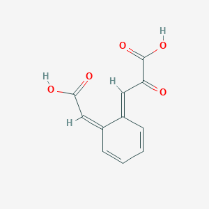 molecular formula C11H8O5 B1260179 3-[6-(Carboxymethylene)cyclohexa-2,4-dien-1-ylidene]-2-oxopropanate 