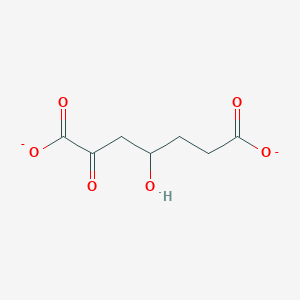 molecular formula C7H8O6-2 B1260215 4-羟基-2-氧代庚二酸 