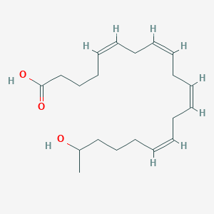 molecular formula C20H32O3 B1260283 19(R)-HETE 